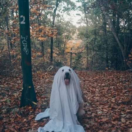 Goodest Ghost Cute Halloween Dog