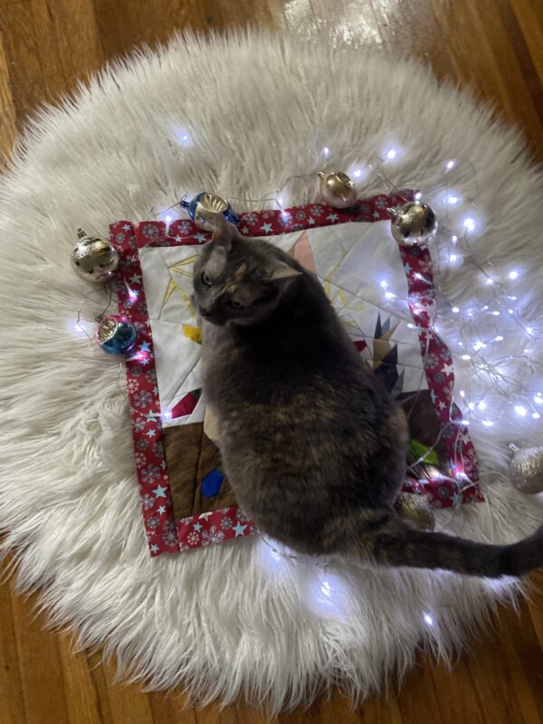 Jingle Bells Shock: Funny Christmas Cat Foundation Paper Piecing Pattern