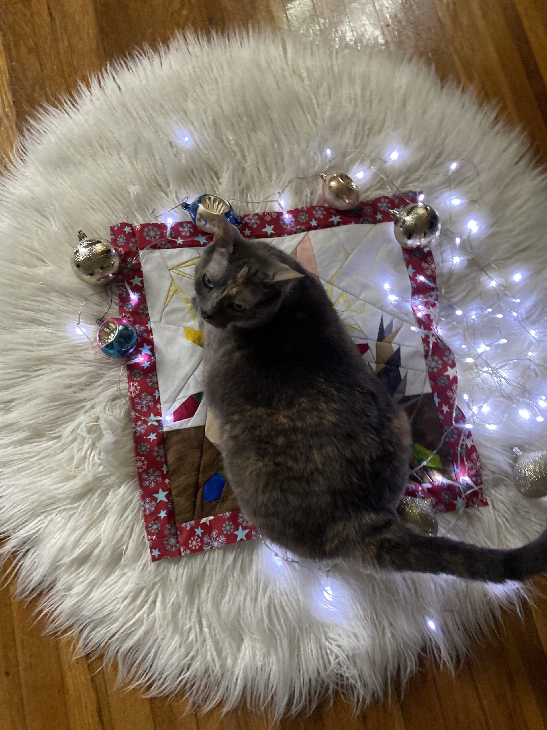 Jingle Bells Shock: Funny Christmas Cat Foundation Paper Piecing Pattern